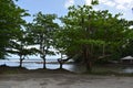 View of the Matelot River Mouth, Trinidad and Tobago Royalty Free Stock Photo