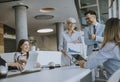 Mature business woman explaining project details on a meeting in office Royalty Free Stock Photo