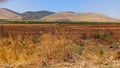 View of mauntain in the north of Israel Royalty Free Stock Photo