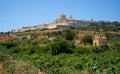 View of Mdina`s St. Paul`s Cathedral from the countryside below, Royalty Free Stock Photo
