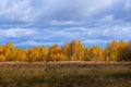 The view of the meadow in the autumn. Royalty Free Stock Photo