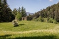 View of a meadow with dilapidated stone hut