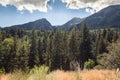 View of meadow, trees, and mountains in American Fork Canyon Royalty Free Stock Photo