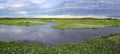 Panorama of meandering river and green water plants in the North Pantanal Wetlands, Mato Grosso, Brazil Royalty Free Stock Photo