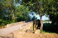 View of the Mediaeval bridge