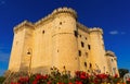 Chateau de Tarascon, France Royalty Free Stock Photo