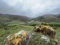 View of the medieval Targim tower complex in the Caucasus mountains surrounded by greenery. The Caucasus Mountains on a Royalty Free Stock Photo