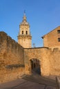 View of the medieval village of Burgo de Osma, the walls and the cathedral tower, Soria,