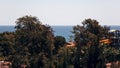 View of the Mediterranean sea from the roof of the house through the tops of pine trees