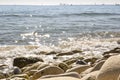 View of the Mediterranean Sea, waves. In the background are ships and sailboats. sunny day. View of the Mediterranean