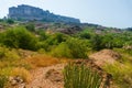 View of Mehrangarh fort from Rao Jodha desert rock park, Jodhpur, India.