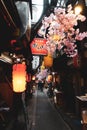 View of `Memory Lane` Omoide yokocho, the famous alley in Shinjuku, Tokyo,