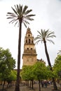 View of mesquita tower in Cordoba Royalty Free Stock Photo