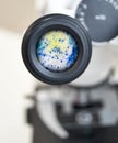 View in the microscope on Trichomonas painted with methylene blue, cytological smear. Selective focus on the eyepiece. Royalty Free Stock Photo