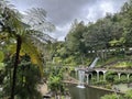 Madeira Botanical Garden in Funchal Royalty Free Stock Photo