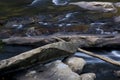 View of middle fork river detail Royalty Free Stock Photo