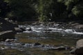 View of middle fork river detail Royalty Free Stock Photo