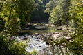 View of middle fork river detail Royalty Free Stock Photo