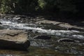 View of middle fork river detail Royalty Free Stock Photo