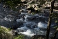 View of middle fork river detail Royalty Free Stock Photo