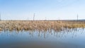 A view from the middle of the lake on the water in which spring dried yellow reeds are reflected under a clear blue sky without Royalty Free Stock Photo