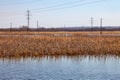 A view from the middle of the lake on the water in which spring dried yellow reeds are reflected under a clear blue sky without Royalty Free Stock Photo