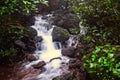 View of milky white waterfall on a small stream at Matheran, Maharashtra Royalty Free Stock Photo