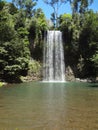 Millaa millaa falls Royalty Free Stock Photo