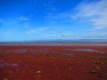 View of ocean and red sand on seafloor Royalty Free Stock Photo