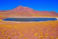 View of Miniques Lagoon. Atacama Desert. Royalty Free Stock Photo