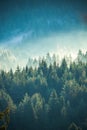 View of misty fog mountains Royalty Free Stock Photo