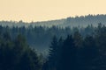 View of a Misty Forest at Sunrise in Finland