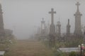 View of the misty graveyard. Lowyat cemetery, city of Limoges, France