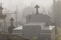 View of the misty graveyard. Lowyat cemetery, city of Limoges, France
