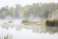 View of a misty river in Lodosa Royalty Free Stock Photo