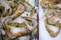 View of mix of prawns on ice for sale in supermarket seafood department. Fresh catch. Top angle. Left: Tiger prawns. Right: Grey