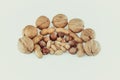 View of mixed different kind of nuts in shell Royalty Free Stock Photo