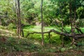 View of a moat along Sigiriya Lion Rock, Sri Lan