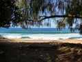 A view of Mocambique beach through the trees - Florianopolis, Brazil
