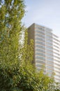 View of a modern high-rise building with glass balconies with a tree in the foreground. Urban architecture concept on a sunny Royalty Free Stock Photo