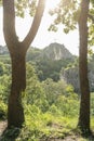 A view of Mokranje rocks between the trees