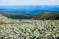 View from the Mont Jacques-Cartier