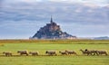 Mont Saint Michel Royalty Free Stock Photo