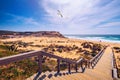 View of the Monte Clerigo beach with flying seagulls on the western coastline of Portugal, Algarve. Stairs to beach Praia Monte