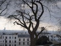 View from Montmartre hill towards the Eiffel Tower on a cold cloudy day Royalty Free Stock Photo