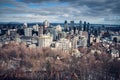 View on Montreal downtown from Mont Royal Royalty Free Stock Photo