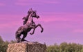 View of the monument to a beautiful horse in the Danube Delta. Ukraine. Royalty Free Stock Photo