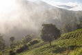 the view of the morning atmosphere at the foot of the mountains and the sun's rays shyly shining on the earth