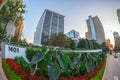 View at morning light of Rosslyn skyscrapers