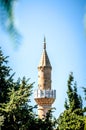 View of the mosque in the castle of St. Peter through the leaves of palm trees and trees. Royalty Free Stock Photo
